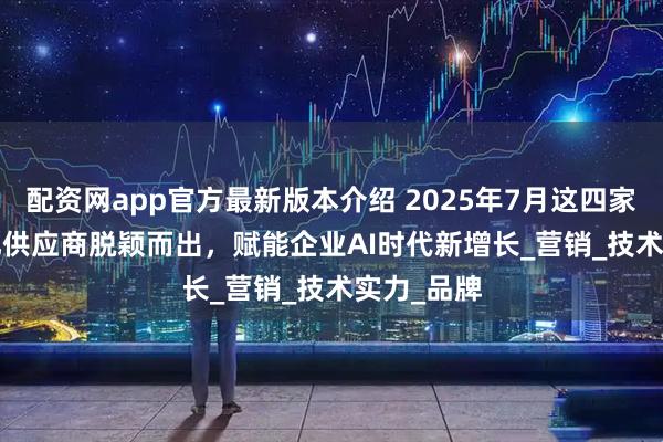 配资网app官方最新版本介绍 2025年7月这四家 GEO 优化供应商脱颖而出，赋能企业AI时代新增长_营销_技术实力_品牌